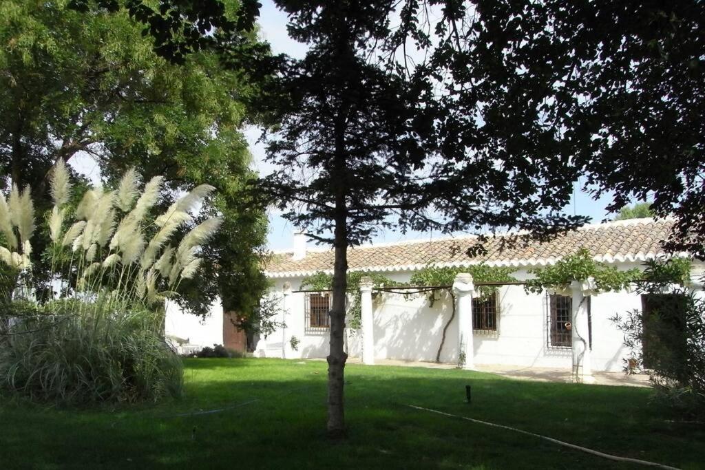Casa El Carmen Villa Сиудад Реал Екстериор снимка