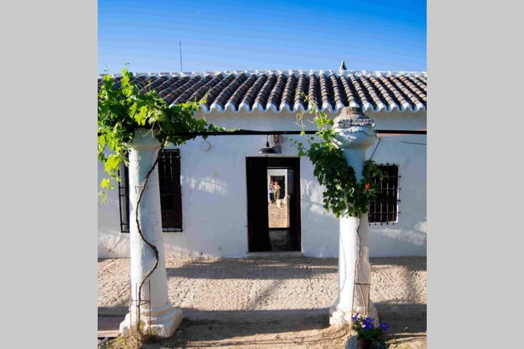 Casa El Carmen Villa Сиудад Реал Екстериор снимка