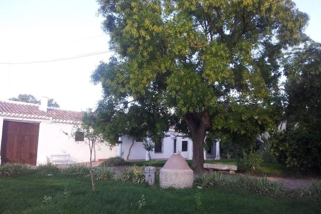 Casa El Carmen Villa Сиудад Реал Екстериор снимка